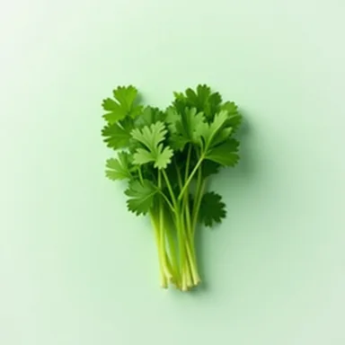 Кинза