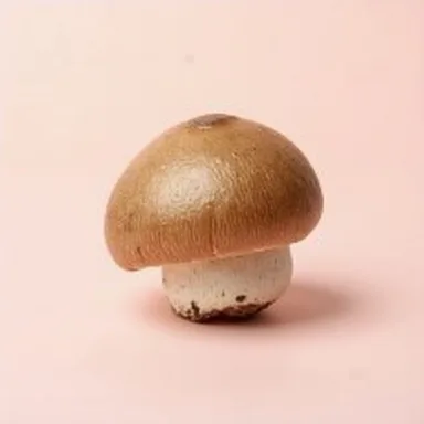 Медвежьи ушки
