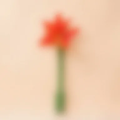 Канна