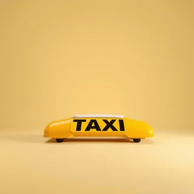 Шашки такси