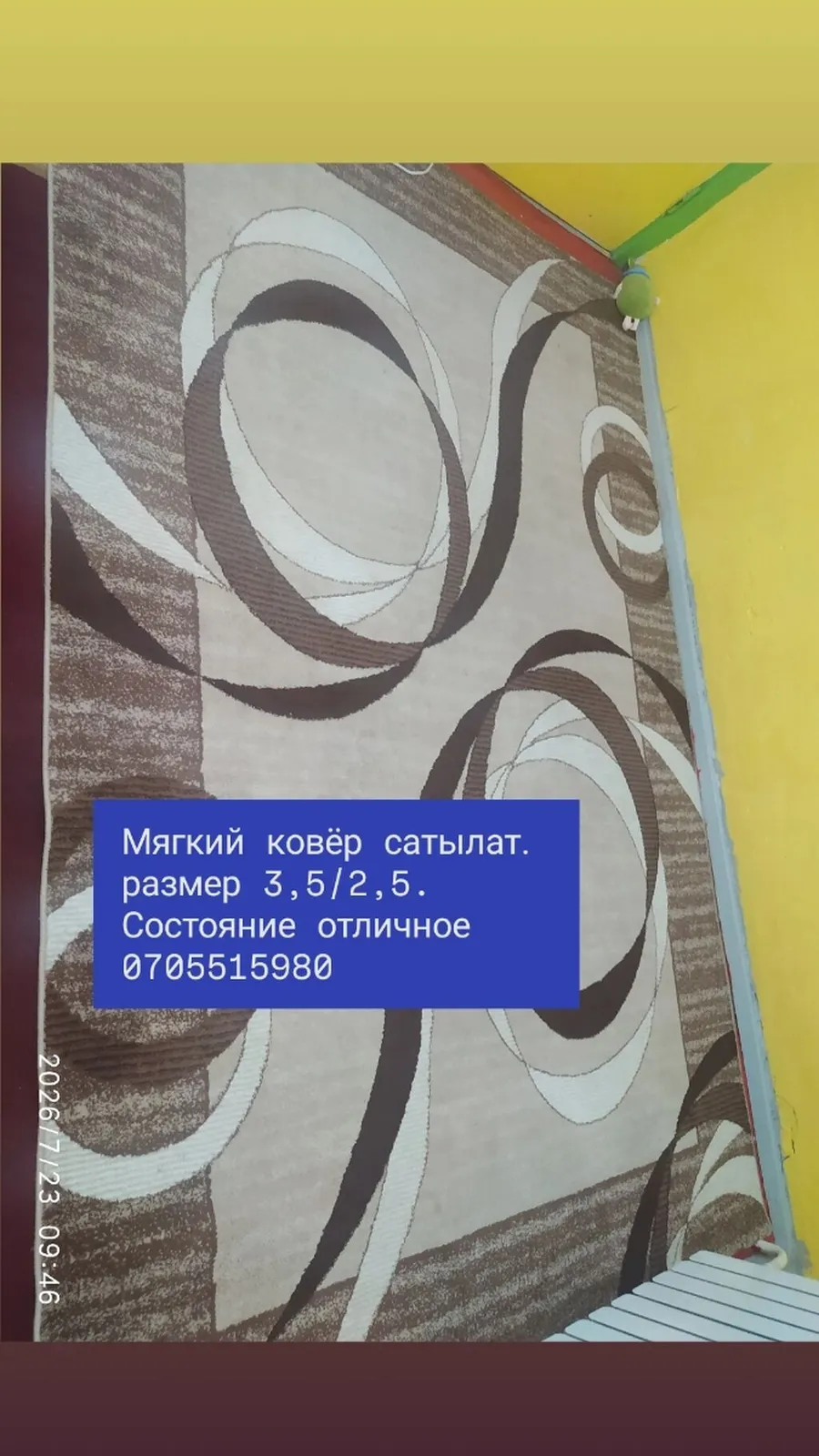 Скупка ковров, Ковры и паласы